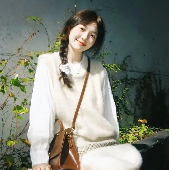 机动战士高达SEED Destiny特别篇